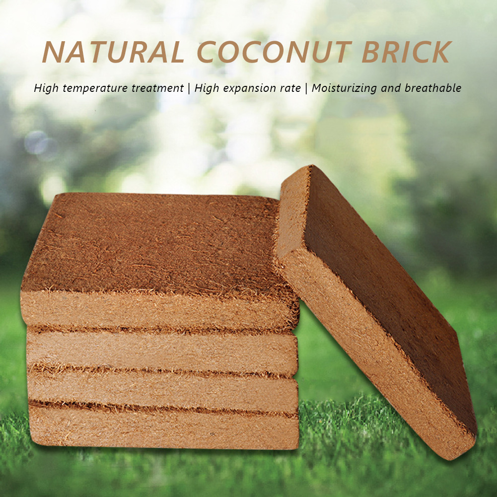 Coco Coir Block - Bloc universel de plantes en fibres