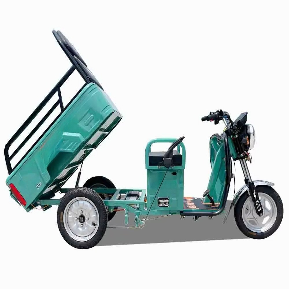 Tricycle électrique de fret en - Urban Farming In China avis et prix