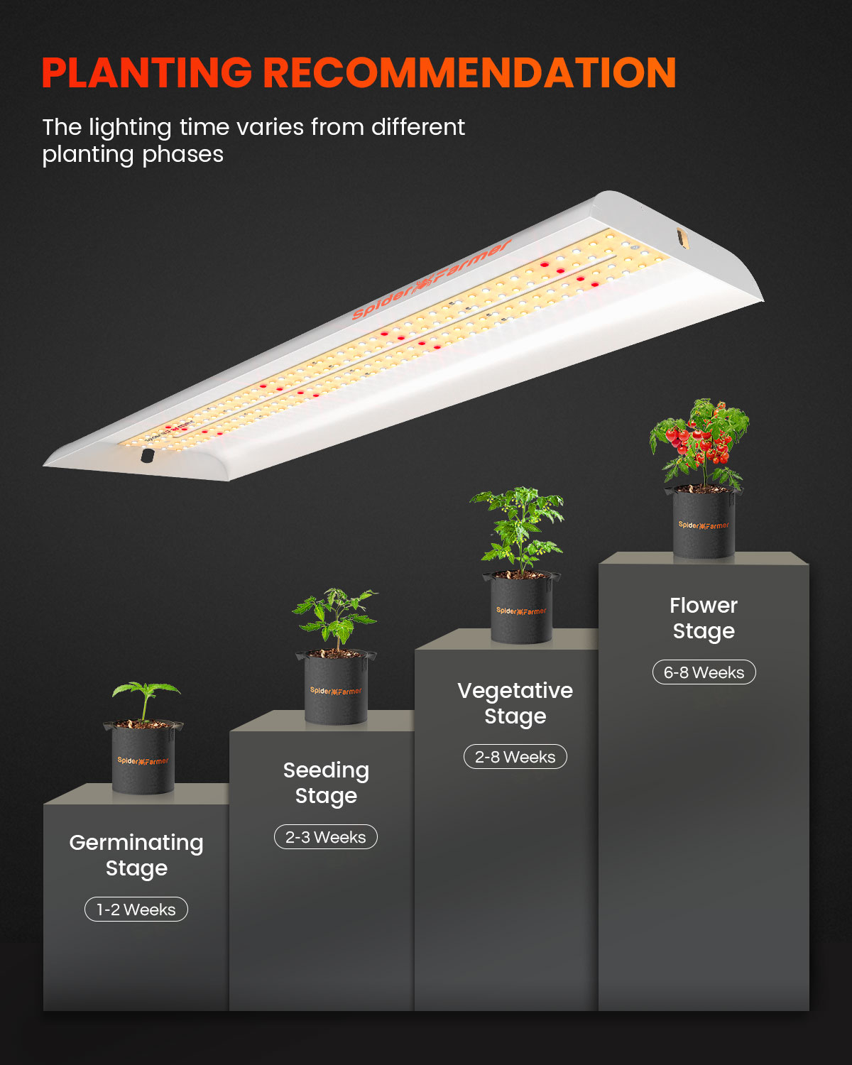 Spider Farmer SF300 LED élèven - Grow Tent 4X4 avis et prix